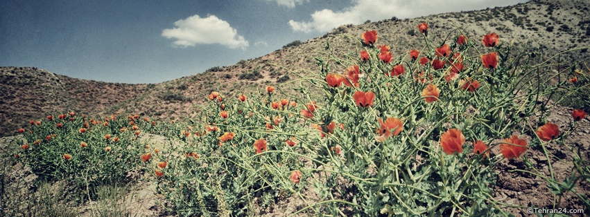 Lavasan - Facebook Cover