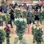 10th Tehran International Exhibition of Flowers and Plants Due