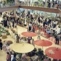 10th Tehran International Exhibition of Flowers and Plants Due