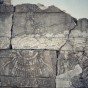 Takht-e Jamshid