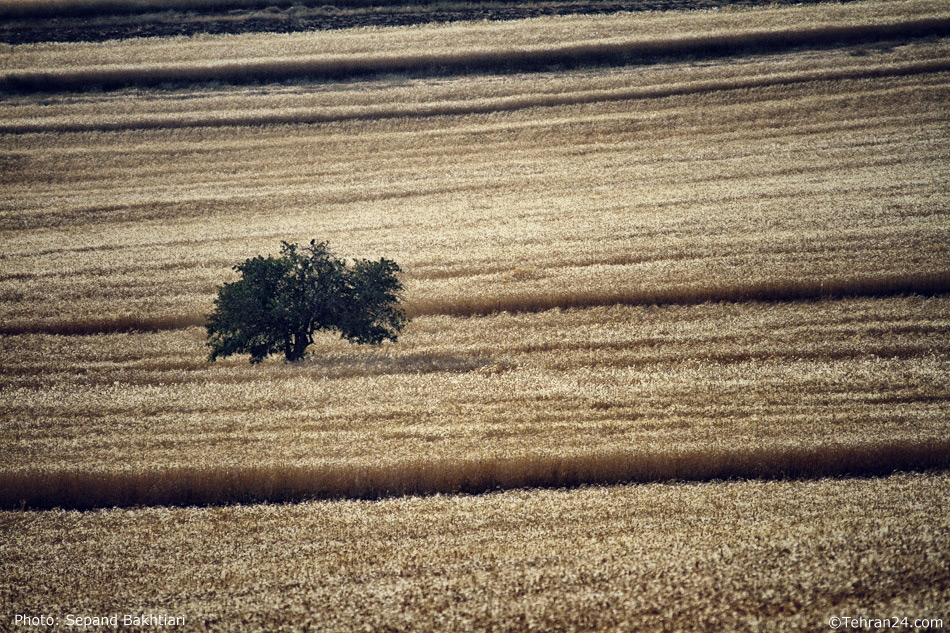 Vicinity of Ghazvin